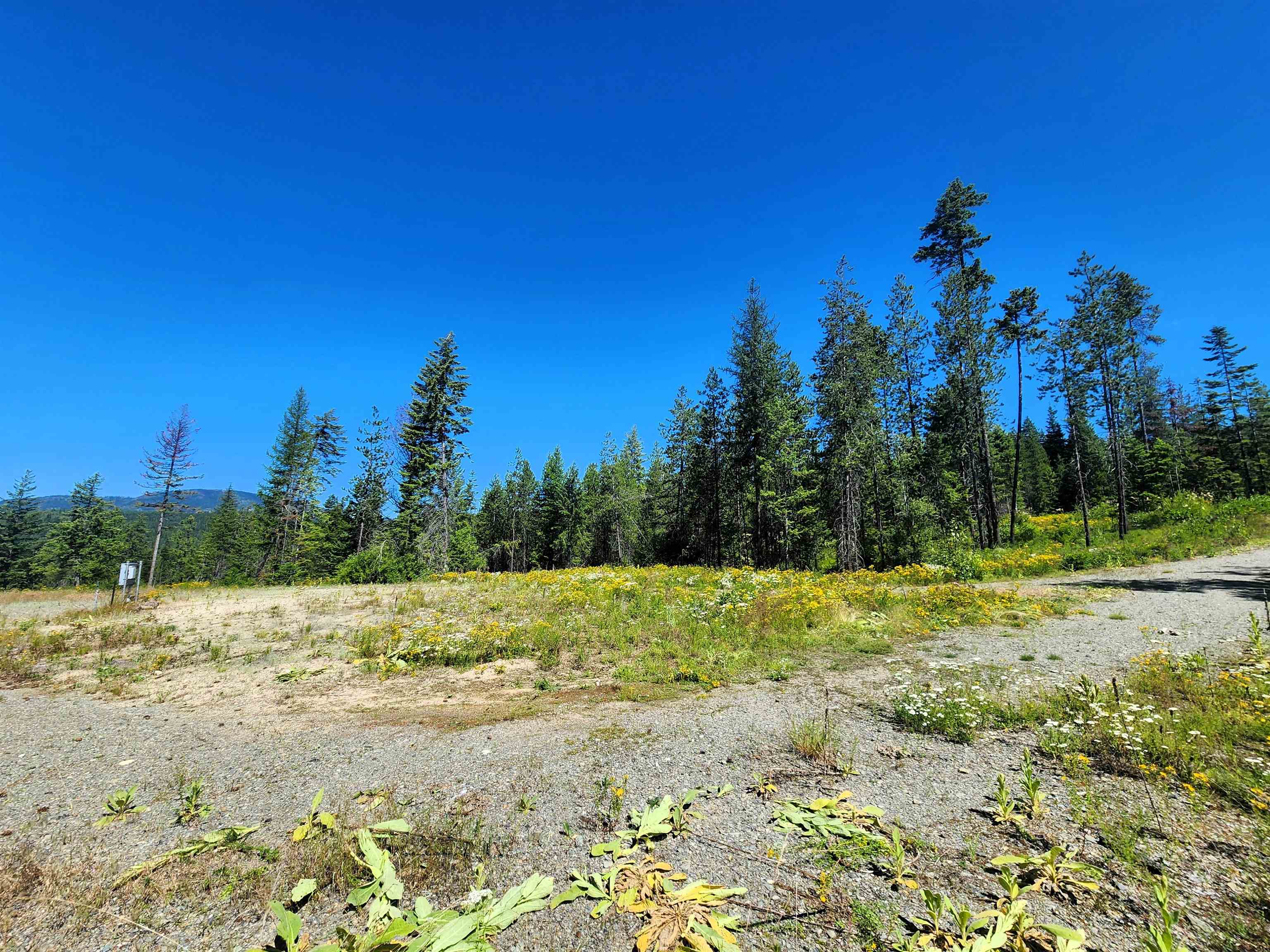 1492 Portrait Way Colville, WA 99114 - Photo 7 of 20