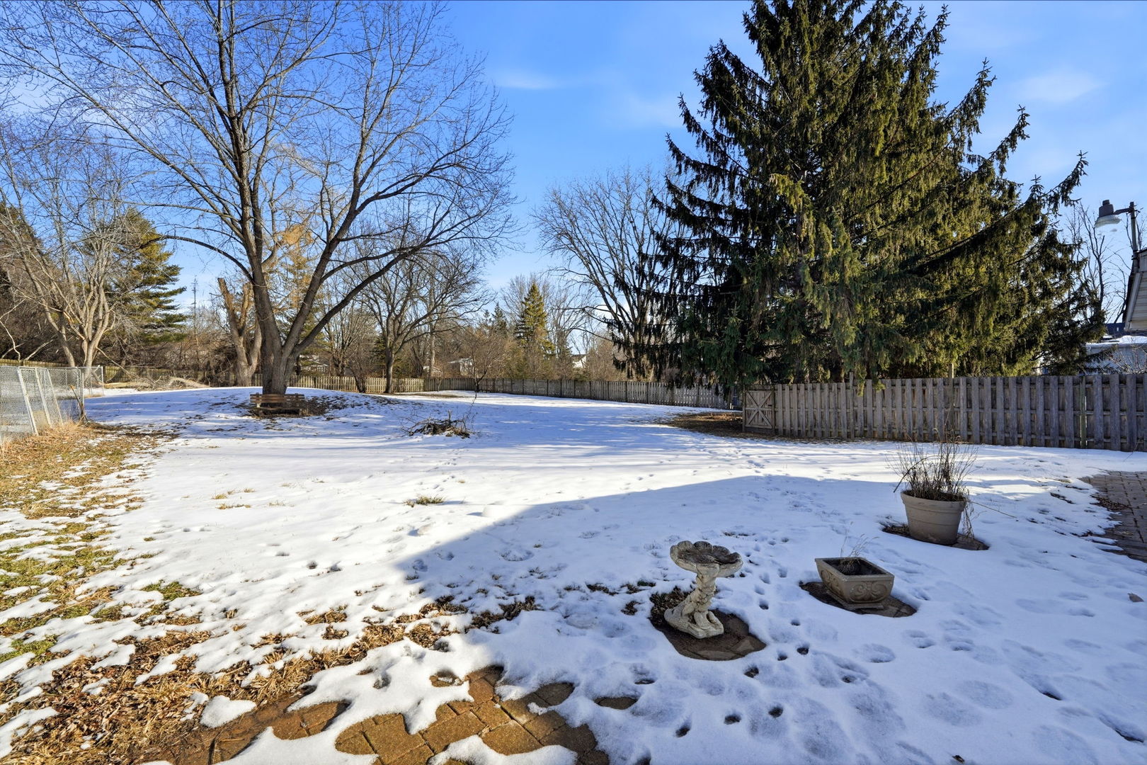1317 North Cedar Lake Road Lake Villa, IL 60046 - Photo 21 of 25 a view of backyard with tree