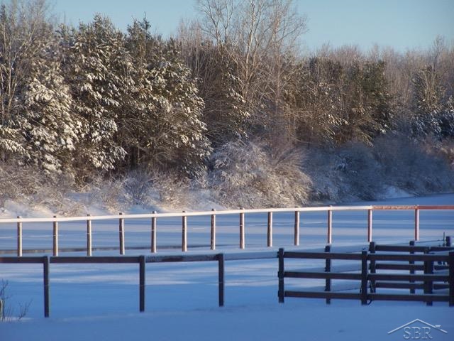 14670 Gratiot Road Hemlock, MI 48626 - Photo 29 of 35 Horses have it made here! There's an outdoor lighted riding arena, 4-acre pasture, several smaller paddocks, outdoor lighted wash stall & 2 shelters.