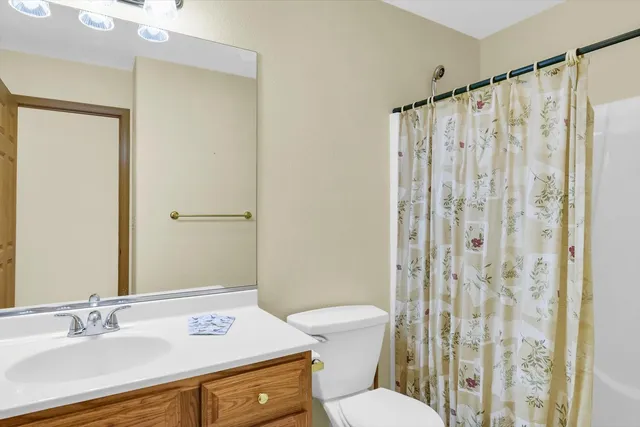 a view of a big yard with plants and large trees