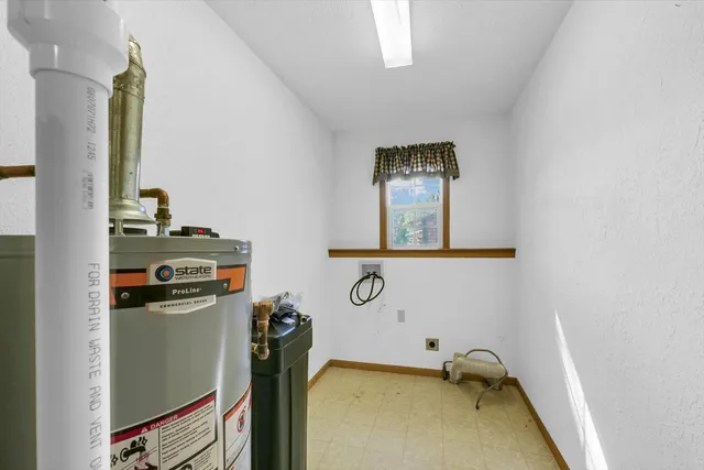 a view of a garden with plants and large trees