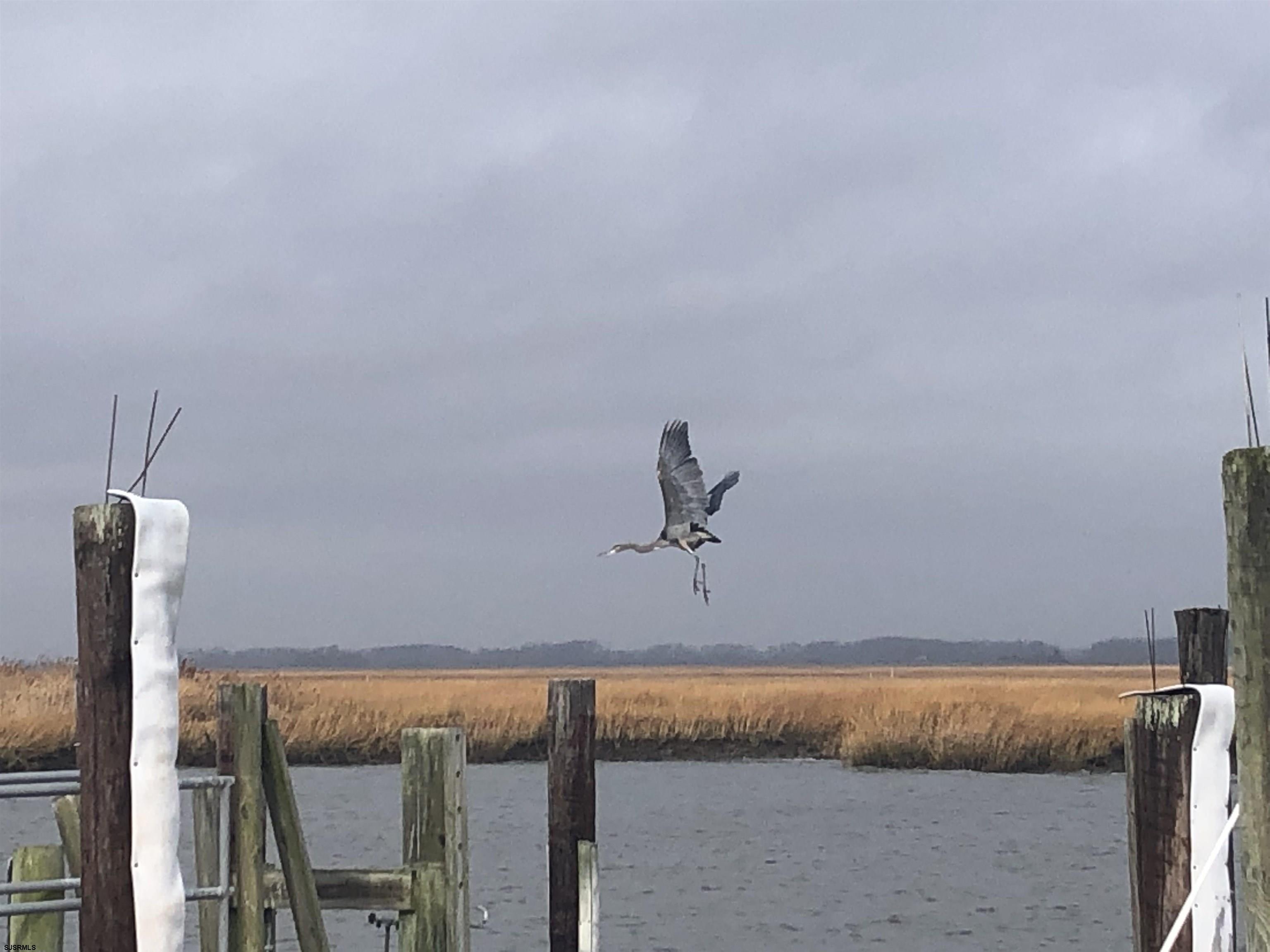 77 Delaware Avenue Fortescue, NJ 08321 - Photo 43 of 47 a view of room