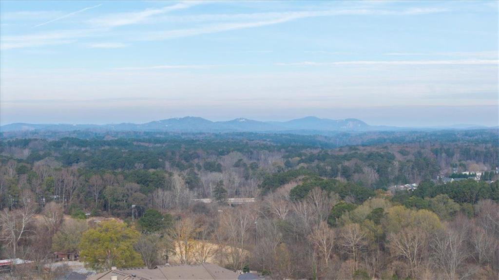 222 Silvercrest Drive Acworth, GA 30101 - Photo 60 of 61 a view of a field of trees and covered with fog