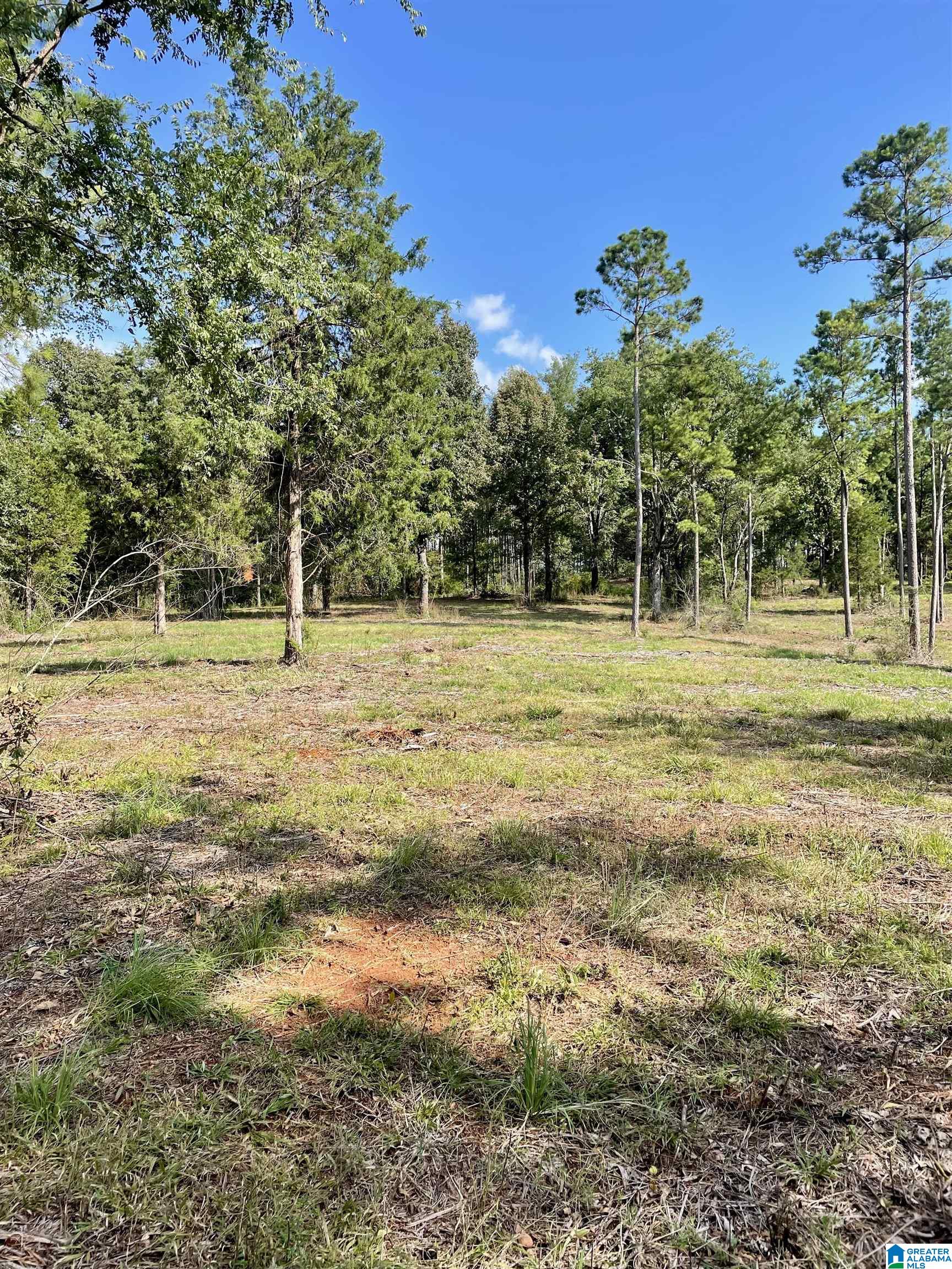 0 Ironaton Road, Unit 1 Talladega, AL 35160 - Photo 6 of 10
