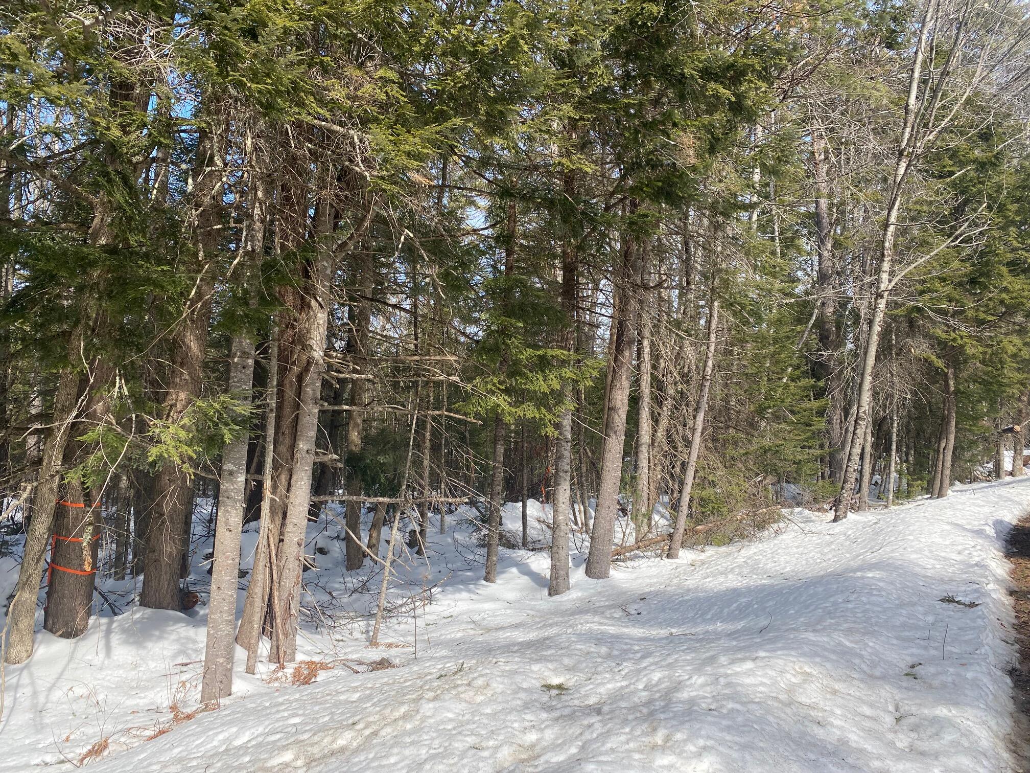 Lot 2 Chase Road Parsonsfield, ME 04047 - Photo 7 of 14 IMG_8481