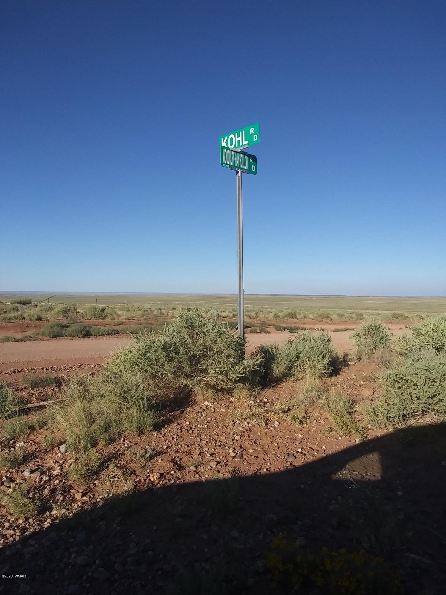 8679 Woodruff Hay Hollow Road Snowflake, AZ 85937 - Photo 1 of 9