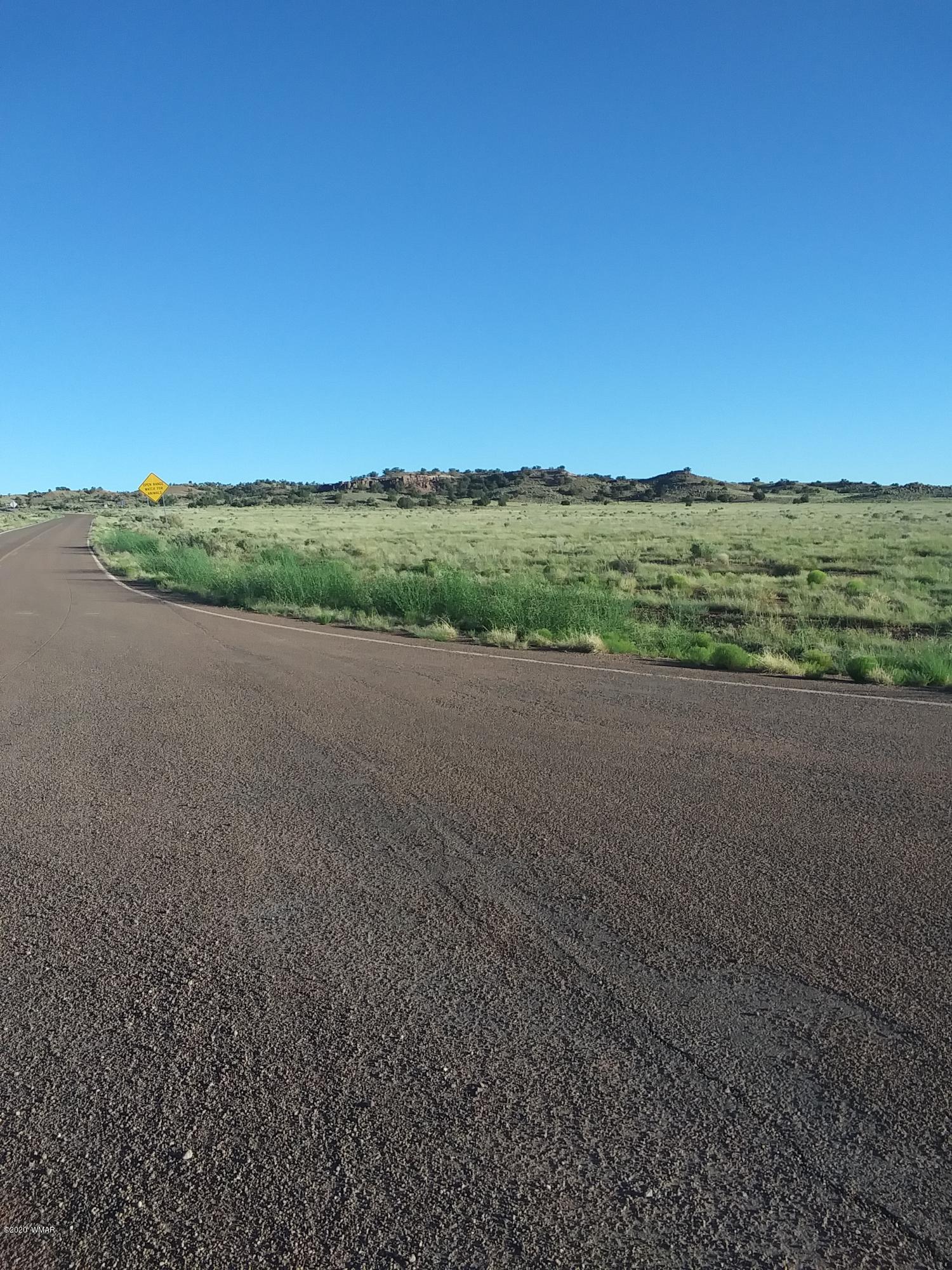 8679 Woodruff Hay Hollow Road Snowflake, AZ 85937 - Photo 4 of 9