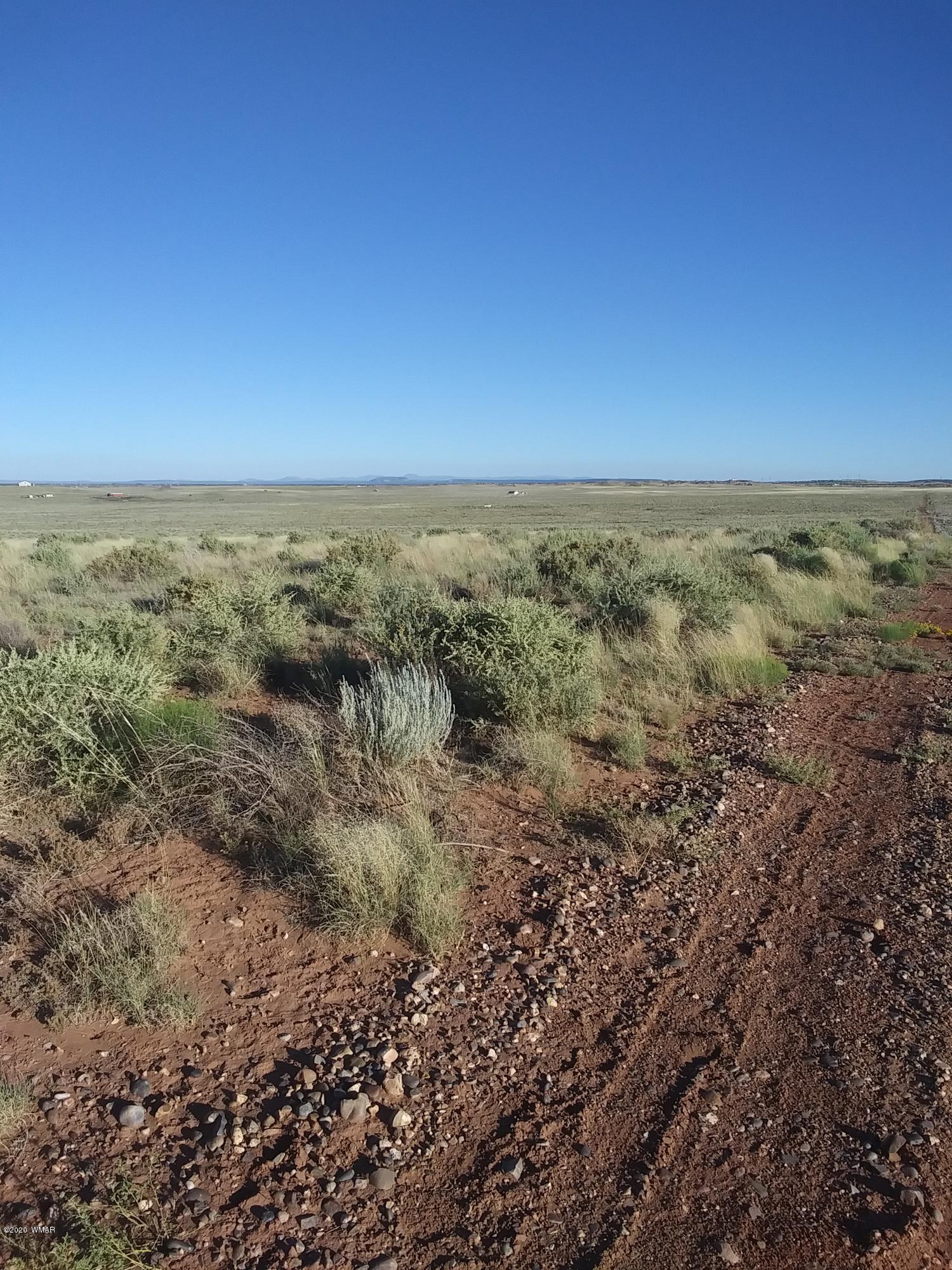 8679 Woodruff Hay Hollow Road Snowflake, AZ 85937 - Photo 5 of 9