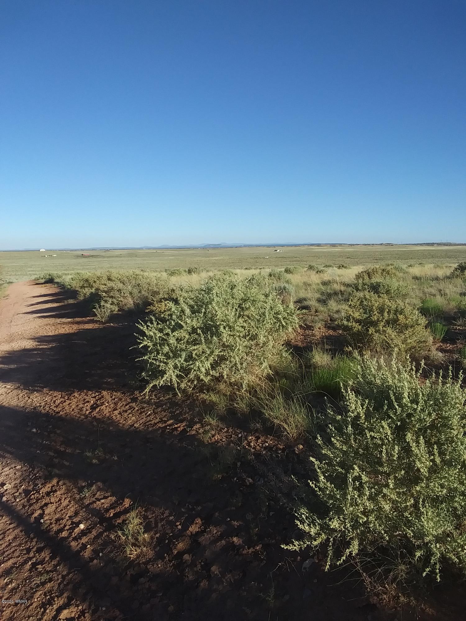 8679 Woodruff Hay Hollow Road Snowflake, AZ 85937 - Photo 6 of 9