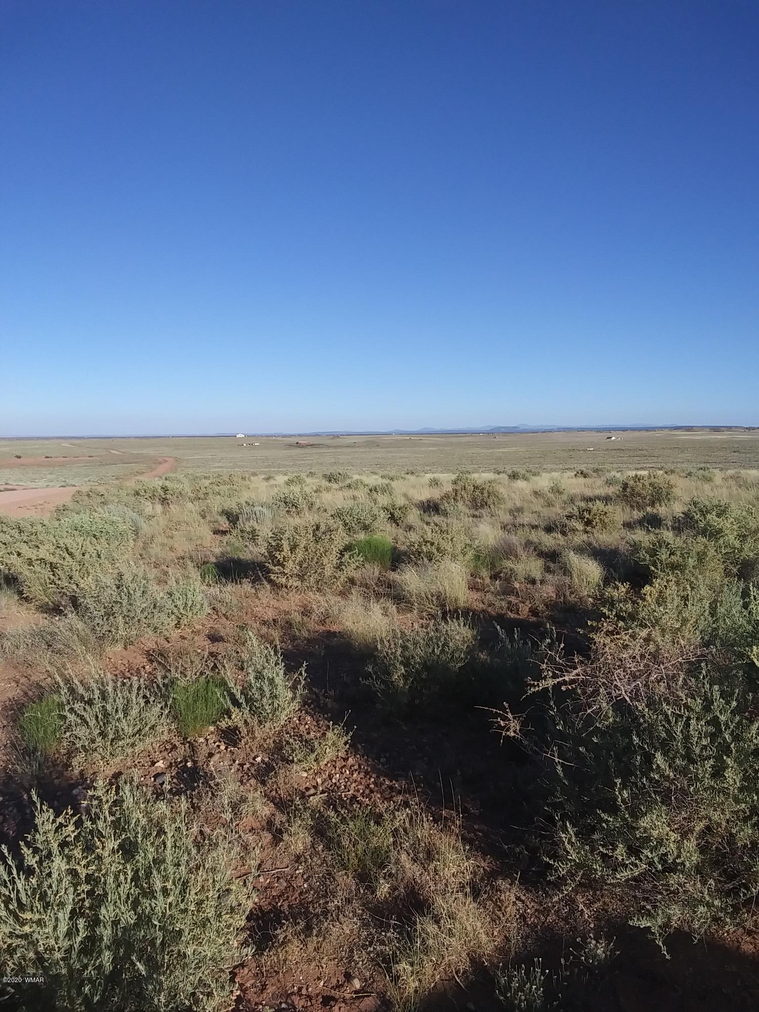 8679 Woodruff Hay Hollow Road Snowflake, AZ 85937 - Photo 7 of 9