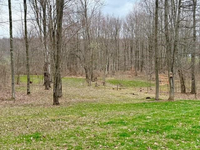 382 Hosack Road Jackson Center, PA 16133 - Photo 21 of 27 a view of a yard with large trees