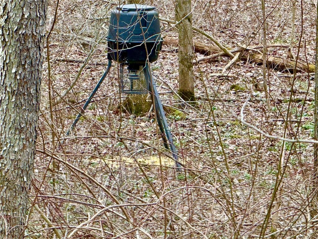 382 Hosack Road Jackson Center, PA 16133 - Photo 23 of 27