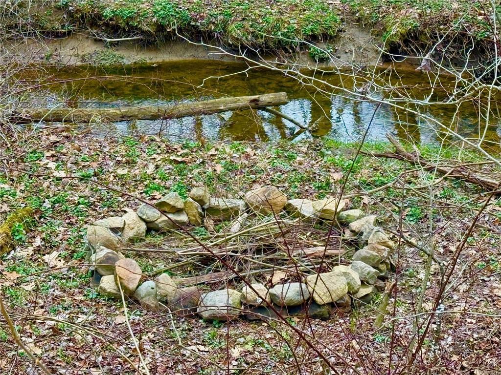 382 Hosack Road Jackson Center, PA 16133 - Photo 24 of 27 a view of a lake with a tree