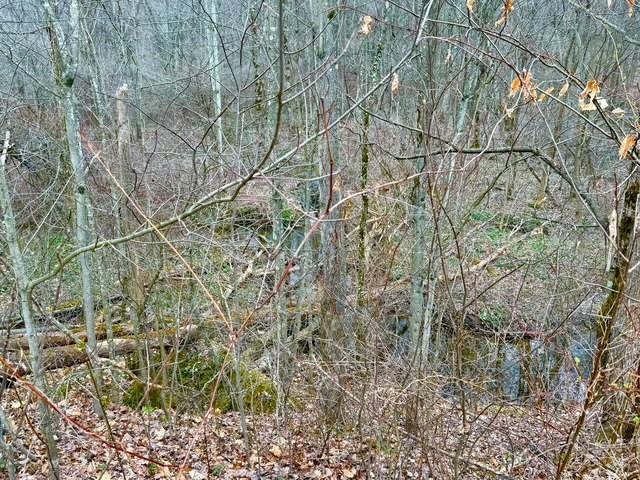382 Hosack Road Jackson Center, PA 16133 - Photo 25 of 27 a backyard of a house with lots of green space
