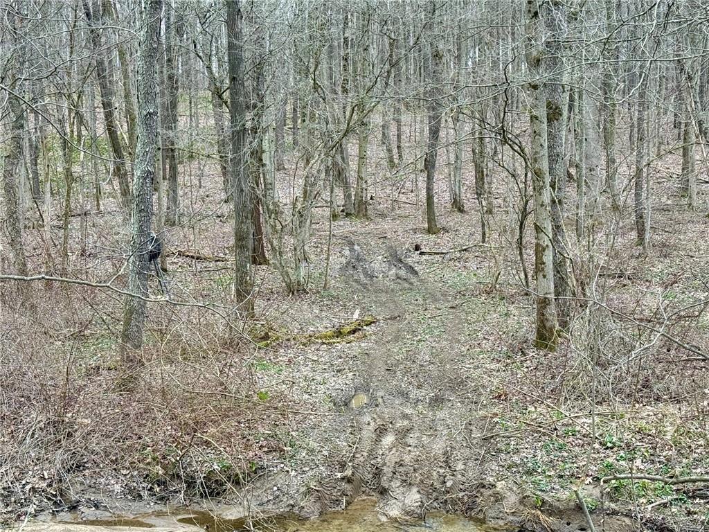 382 Hosack Road Jackson Center, PA 16133 - Photo 26 of 27 a bathroom with a shower