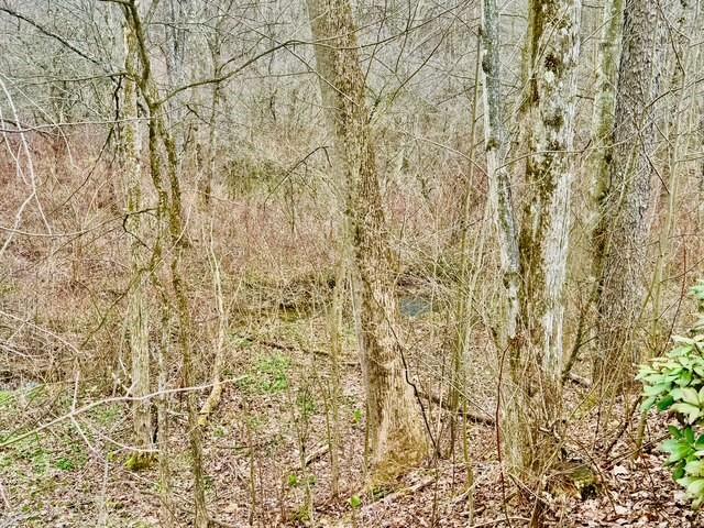 382 Hosack Road Jackson Center, PA 16133 - Photo 27 of 27 a bathroom with a shower curtain