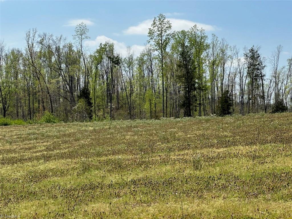 2 Gallimore Dairy Road Denton, NC 27239 - Photo 1 of 1 Gallery Image 1