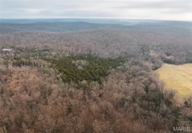 $120,000 | 0 South Sappington Road, Bourbon, MO 65441