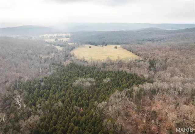 $120,000 | 0 South Sappington Road, Bourbon, MO 65441