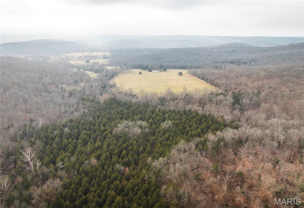 0 South Sappington Road Bourbon, MO 65441 - Photo 13 of 15