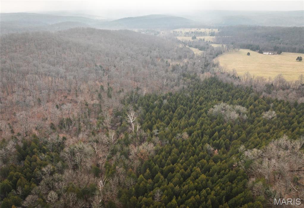 0 South Sappington Road Bourbon, MO 65441 - Photo 14 of 15