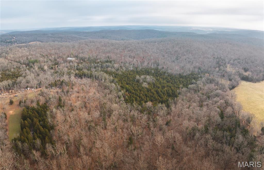 0 South Sappington Road Bourbon, MO 65441 - Photo 15 of 15