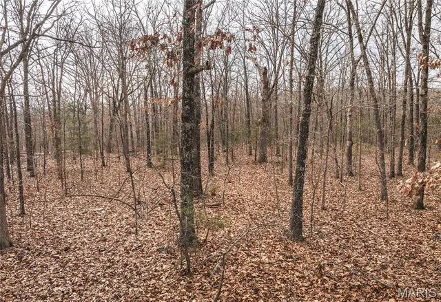 $120,000 | 0 South Sappington Road, Bourbon, MO 65441