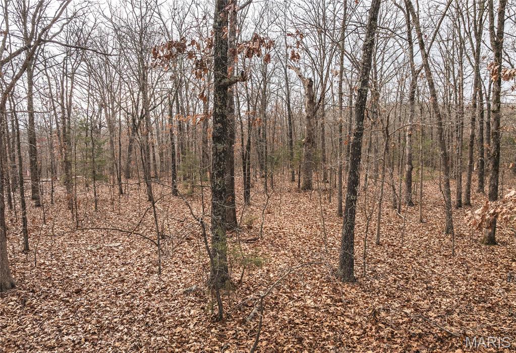 0 South Sappington Road Bourbon, MO 65441 - Photo 3 of 15