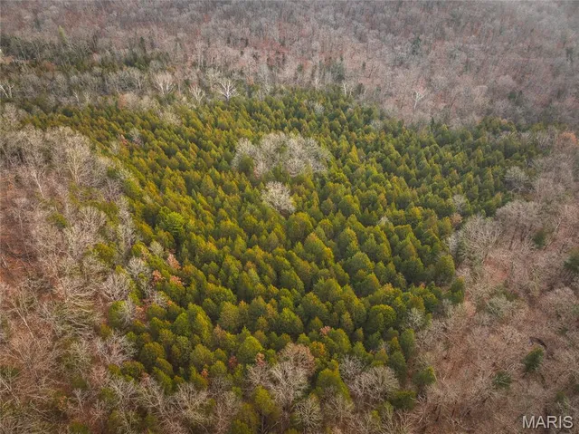 $120,000 | 0 South Sappington Road, Bourbon, MO 65441