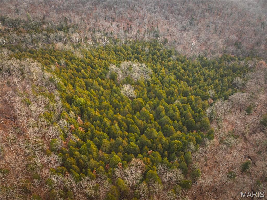 0 South Sappington Road Bourbon, MO 65441 - Photo 4 of 15