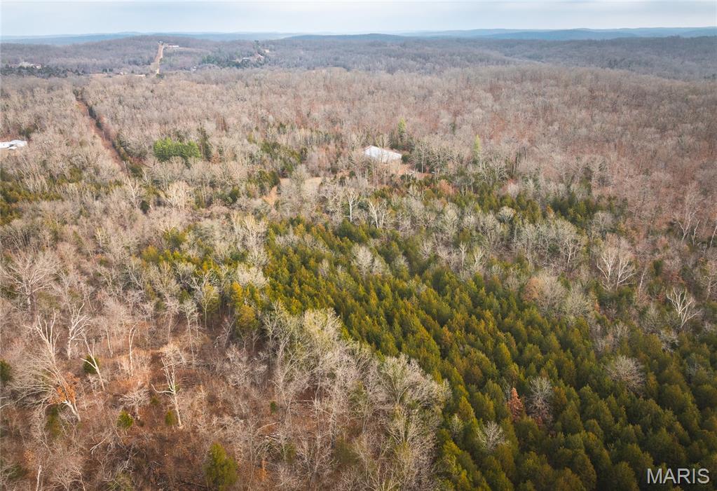 0 South Sappington Road Bourbon, MO 65441 - Photo 9 of 15