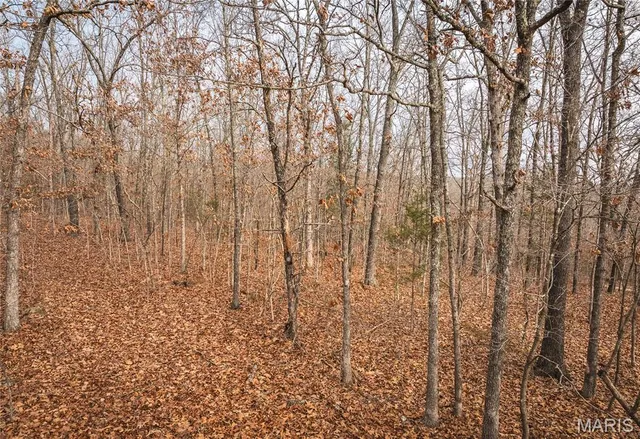 $120,000 | 0 South Sappington Road, Bourbon, MO 65441