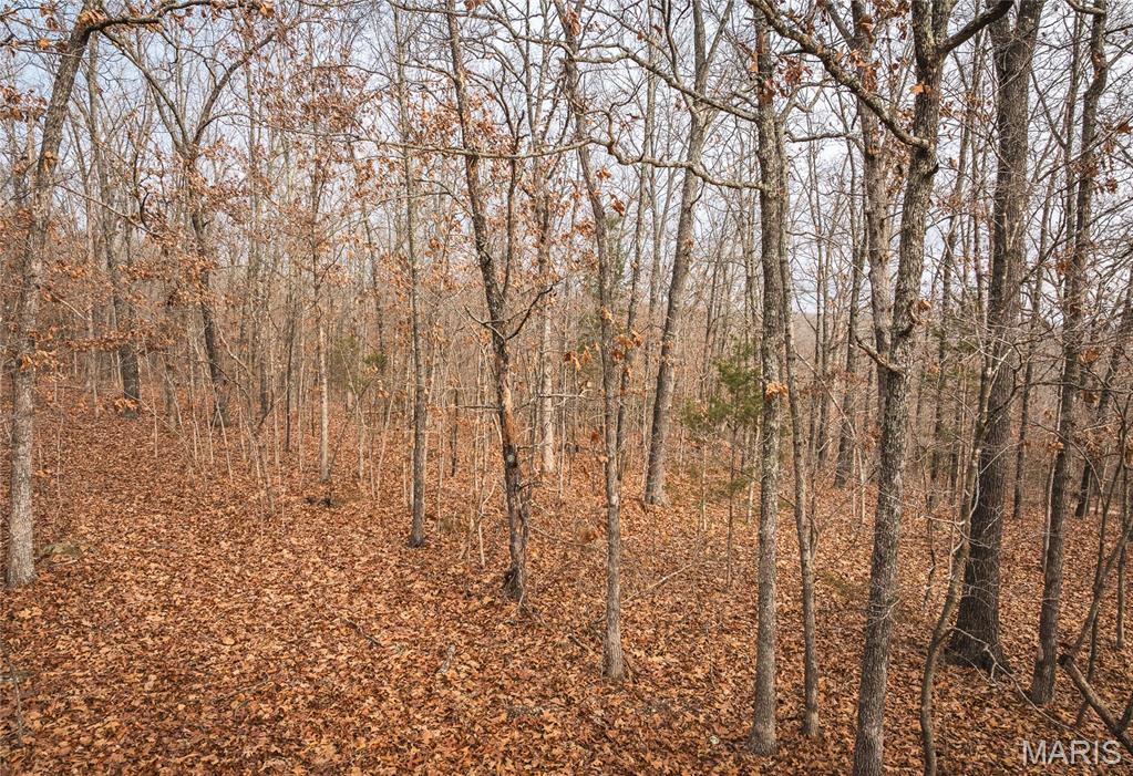 0 South Sappington Road Bourbon, MO 65441 - Photo 10 of 15