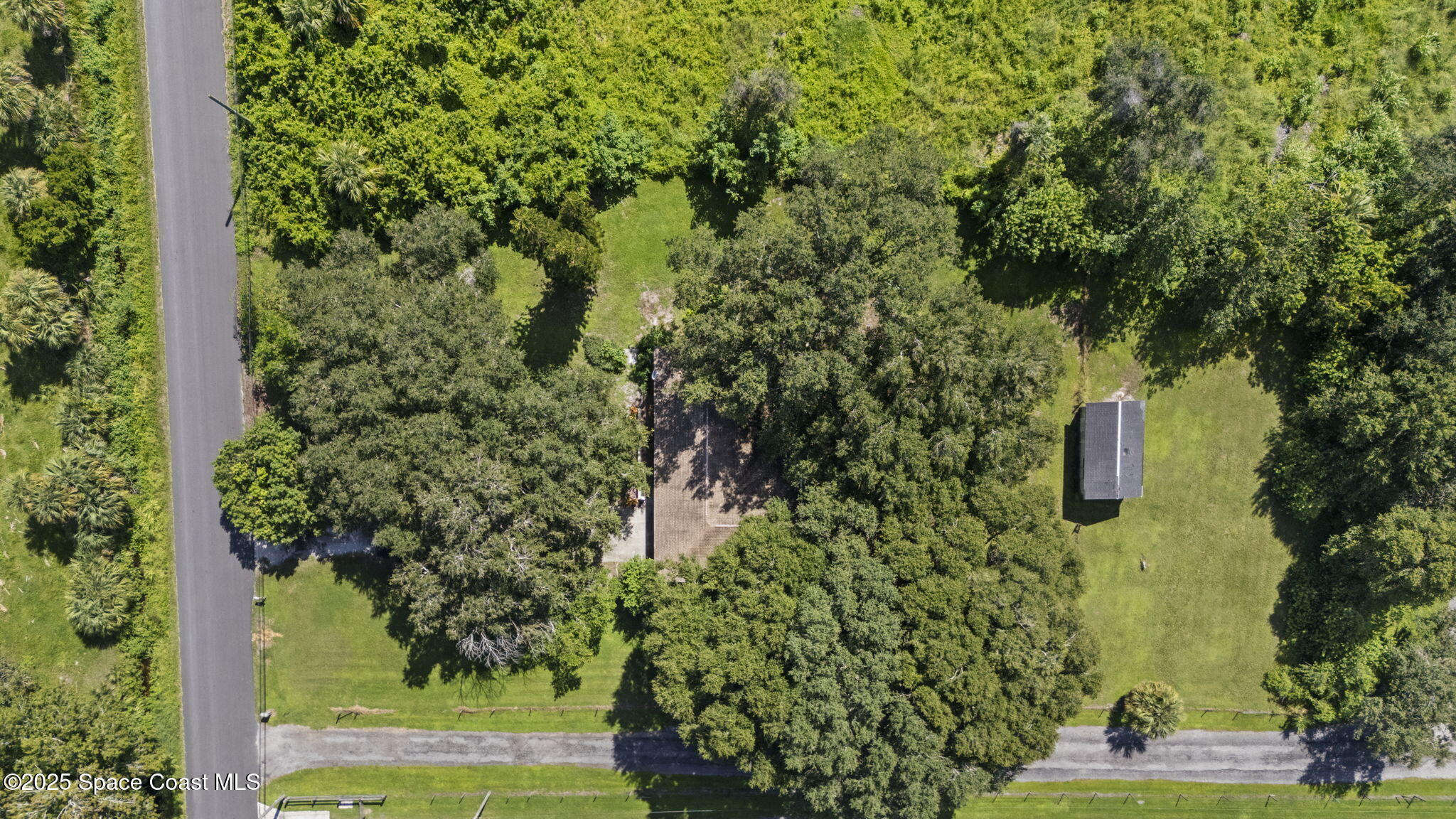 3125 Lionel Road Mims, FL 32754 - Photo 31 of 31 a view of a yard with plants and trees