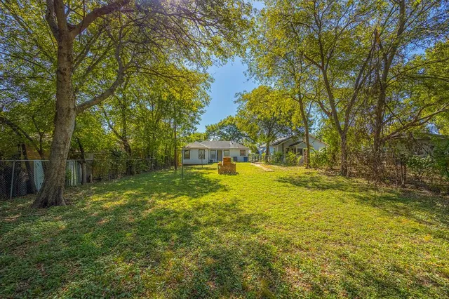 a view of a yard with trees