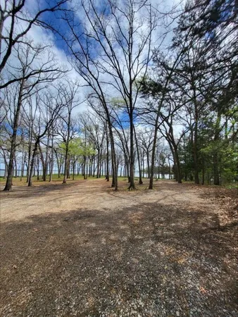 a view of a trees with a yard