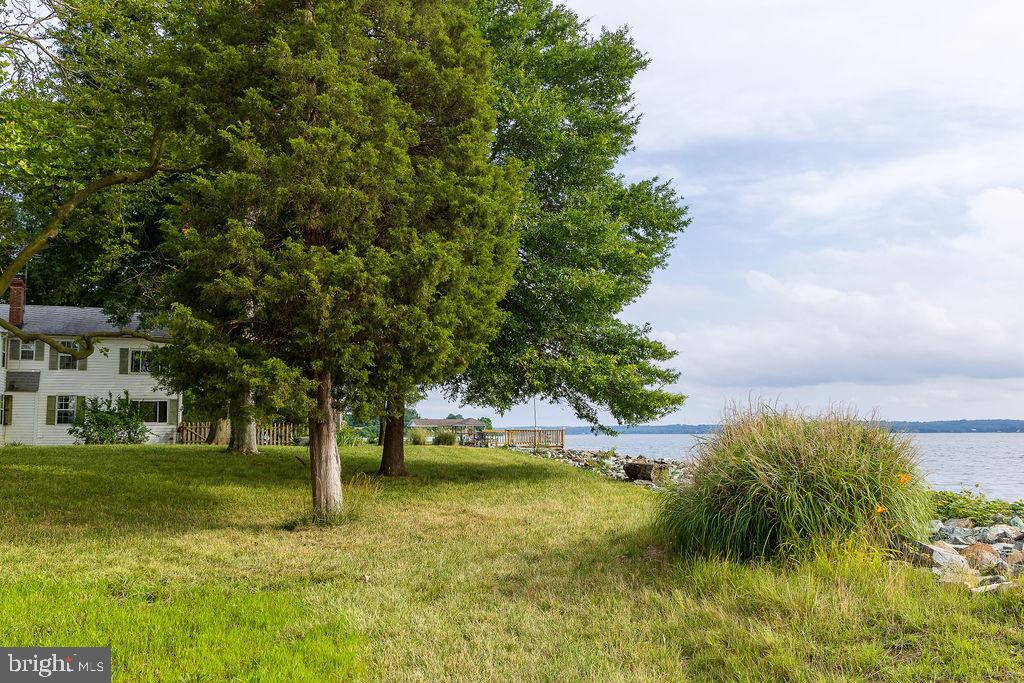 6225 Sandy Point Road Prince Frederick, MD 20678 - Photo 26 of 45 a view of a yard with palm trees