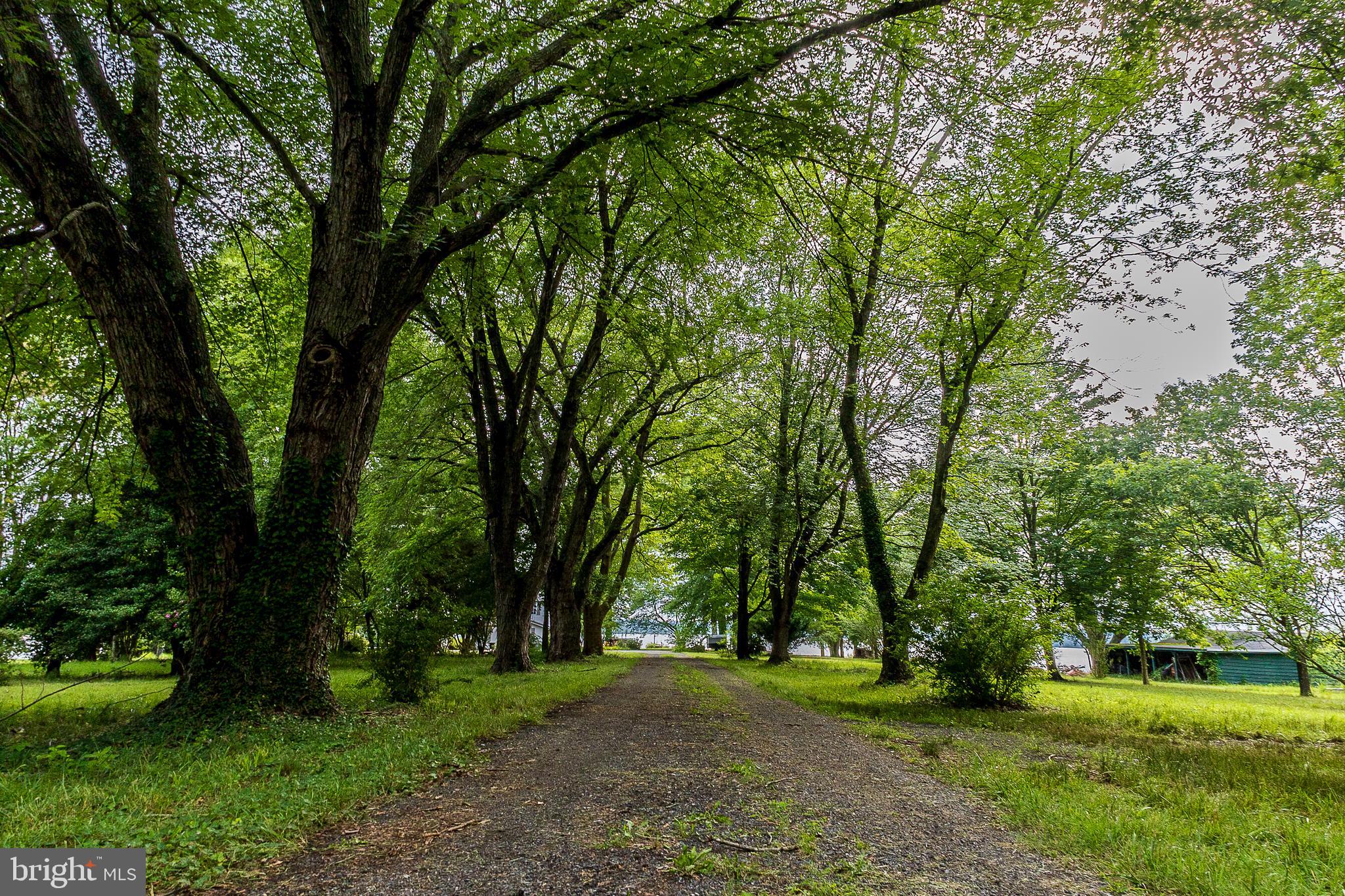 6225 Sandy Point Road Prince Frederick, MD 20678 - Photo 8 of 45 a view of a park with large trees