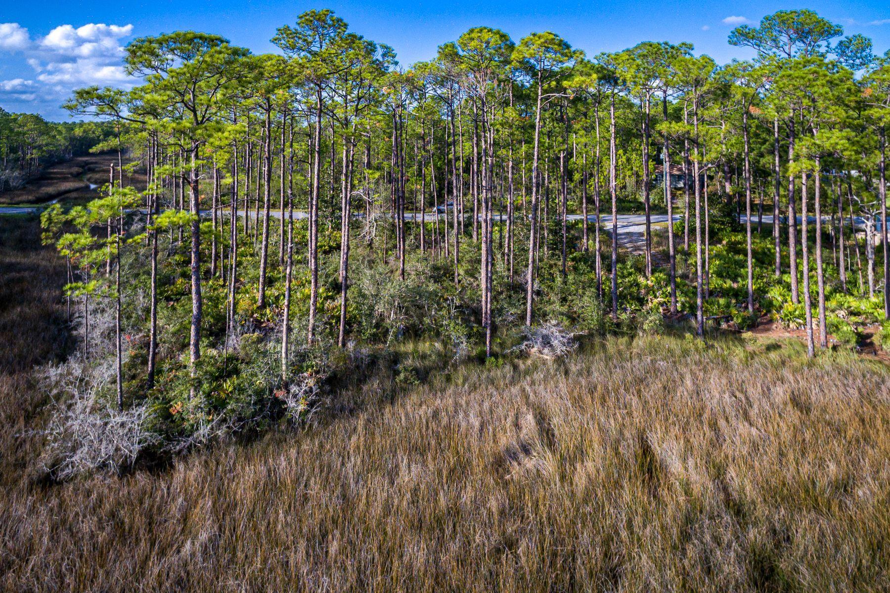 Lot 15 West Nursery Road Santa Rosa Beach, FL 32459 - Photo 31 of 45