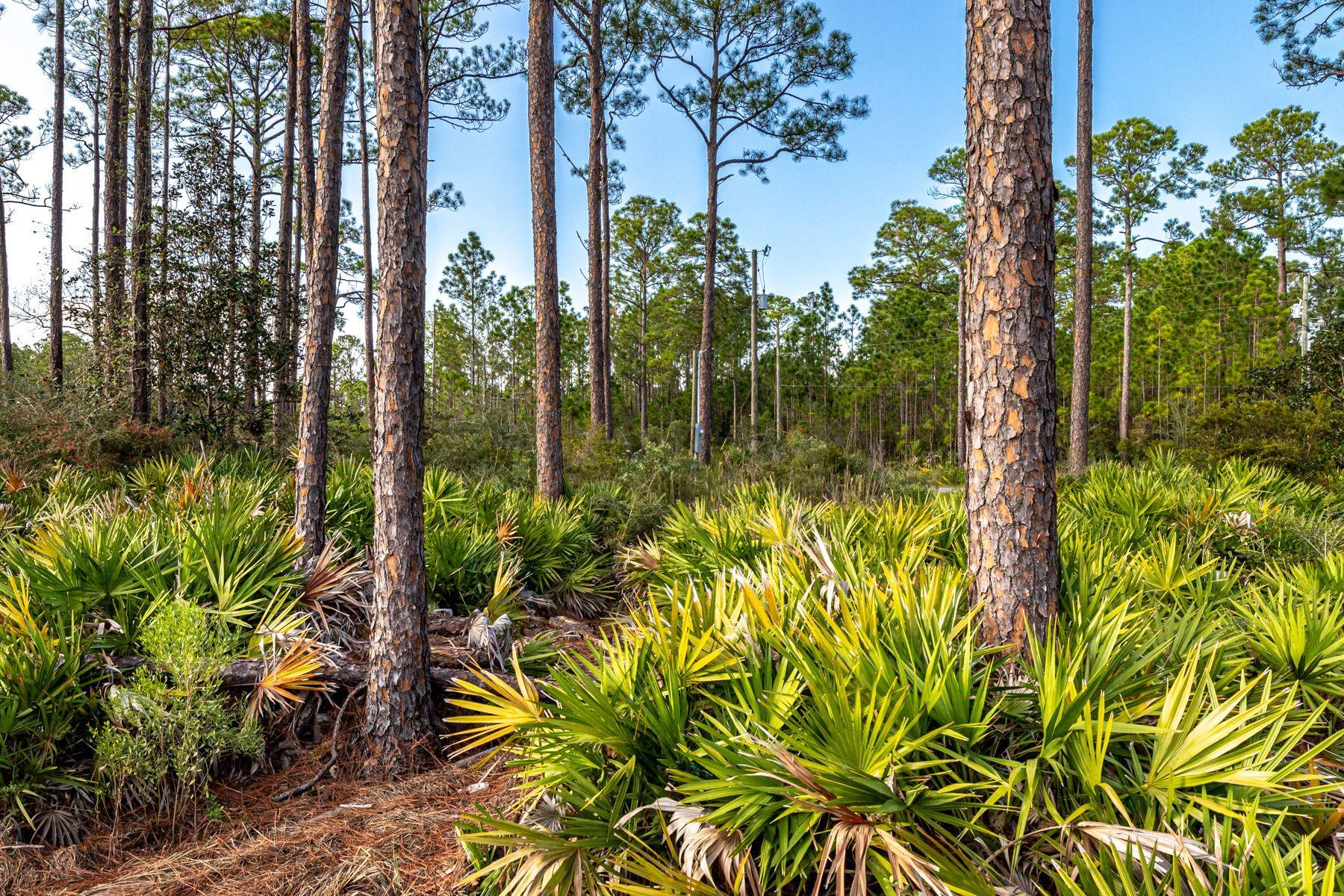 Lot 15 West Nursery Road Santa Rosa Beach, FL 32459 - Photo 32 of 45