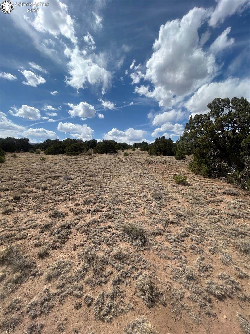 530 County Road Walsenburg, CO 81089 - Photo 5 of 12 Gallery Image 5