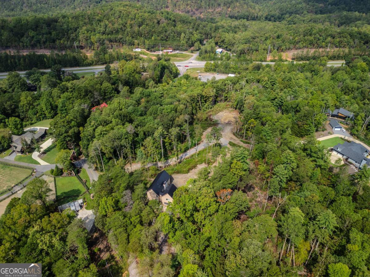 Tract 3 Old Northcutt Road Ellijay, GA 30536 - Photo 3 of 7 a view of a forest that has a tree