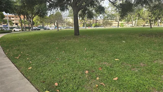 a view of yard with trees