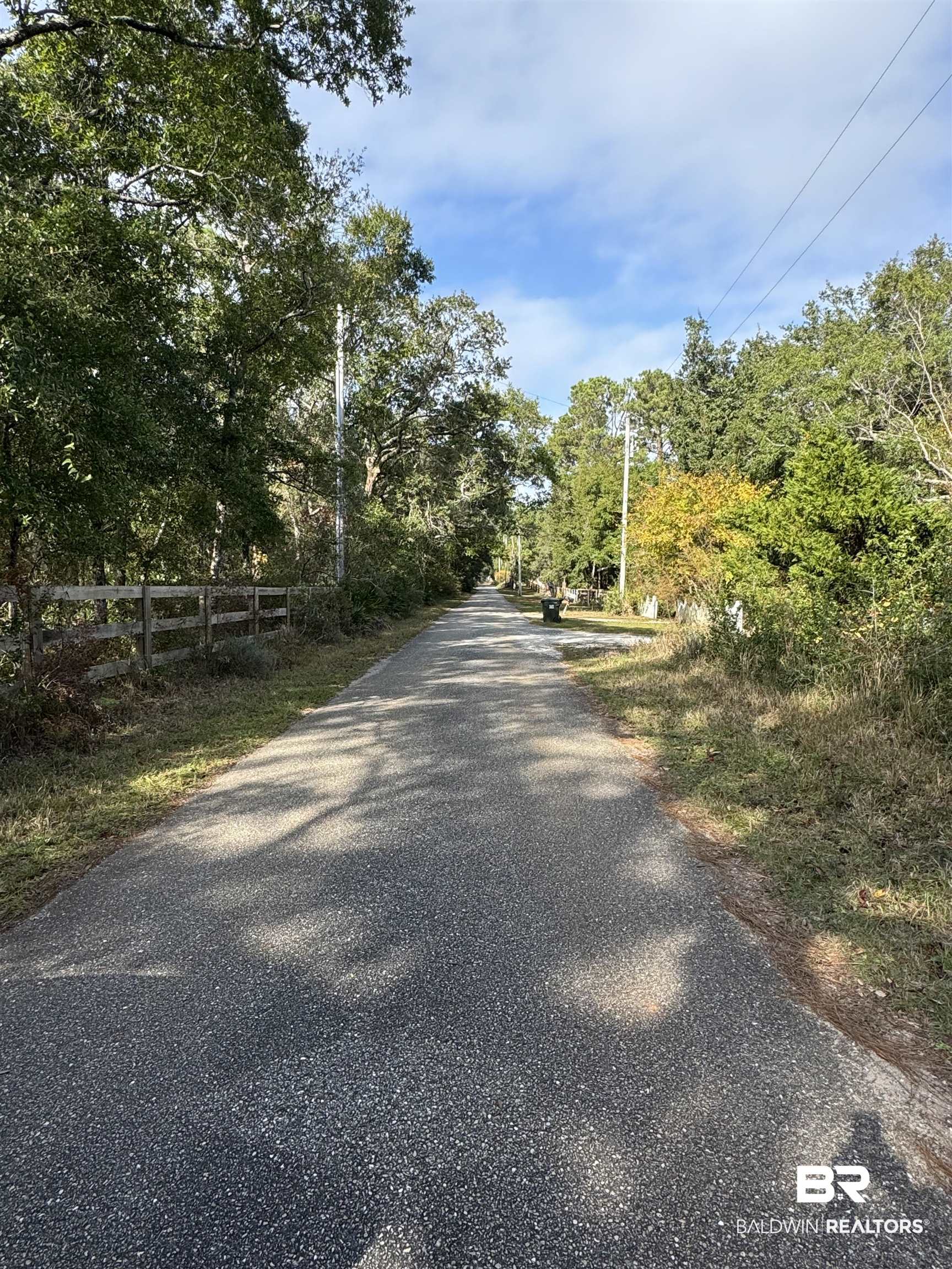 0 Marjon Lane Elberta, AL 36530 - Photo 4 of 11 View of street heading north