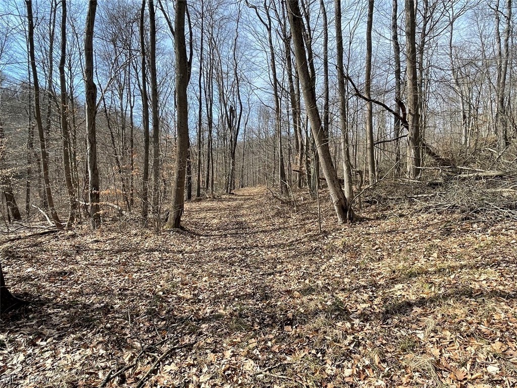 Cordova Road Dennison, OH 44621 - Photo 1 of 16 View of local wilderness