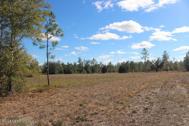 5015 Northwest County Road 274 Altha, FL 32421 - Photo 7 of 15