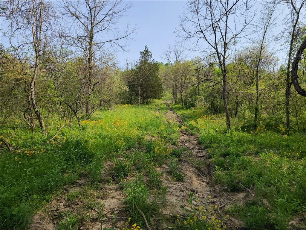 8236 Silver Creek Road Metamora, IN 47030 - Photo 11 of 33 Gallery Image 11