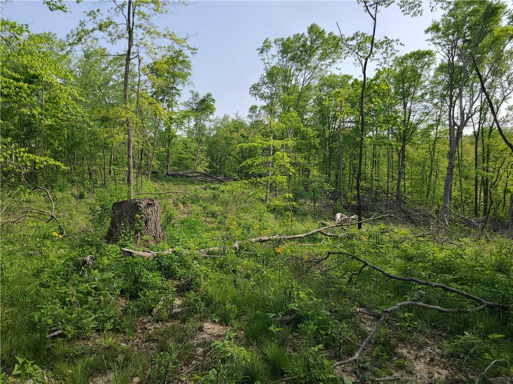 8236 Silver Creek Road Metamora, IN 47030 - Photo 20 of 33 Gallery Image 20
