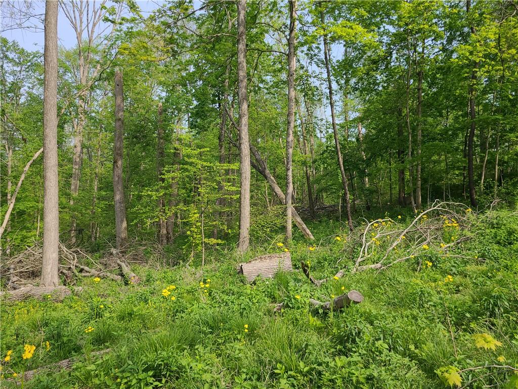 8236 Silver Creek Road Metamora, IN 47030 - Photo 21 of 33 Gallery Image 21