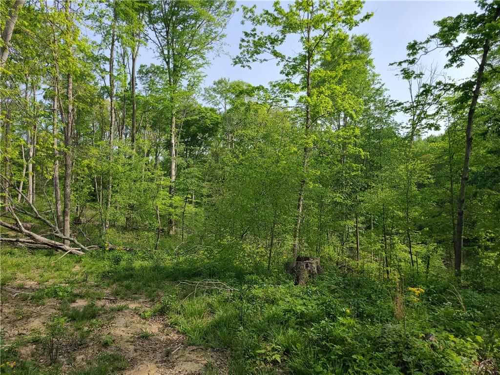 8236 Silver Creek Road Metamora, IN 47030 - Photo 22 of 33 Gallery Image 22